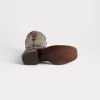 Josephine Horseman :: Antique Black
