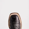 Josephine Horseman :: Antique Black