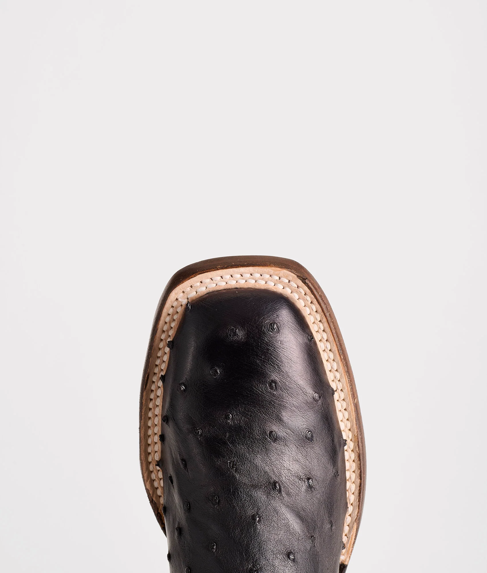 Josephine Horseman :: Antique Black