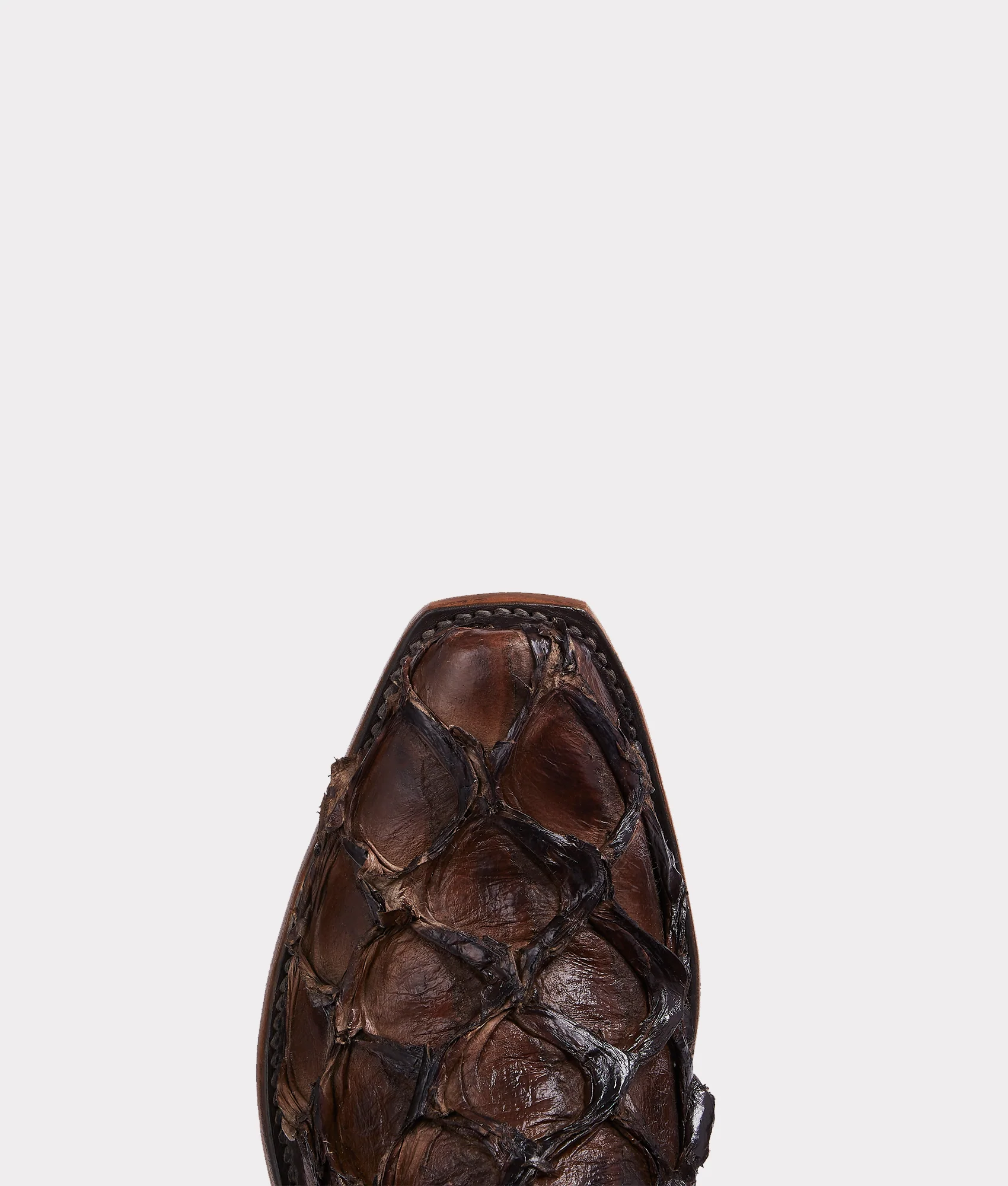Murphy :: Chocolate