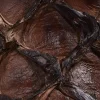 Murphy :: Chocolate