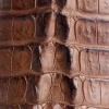 Haan :: Tan + Chocolate