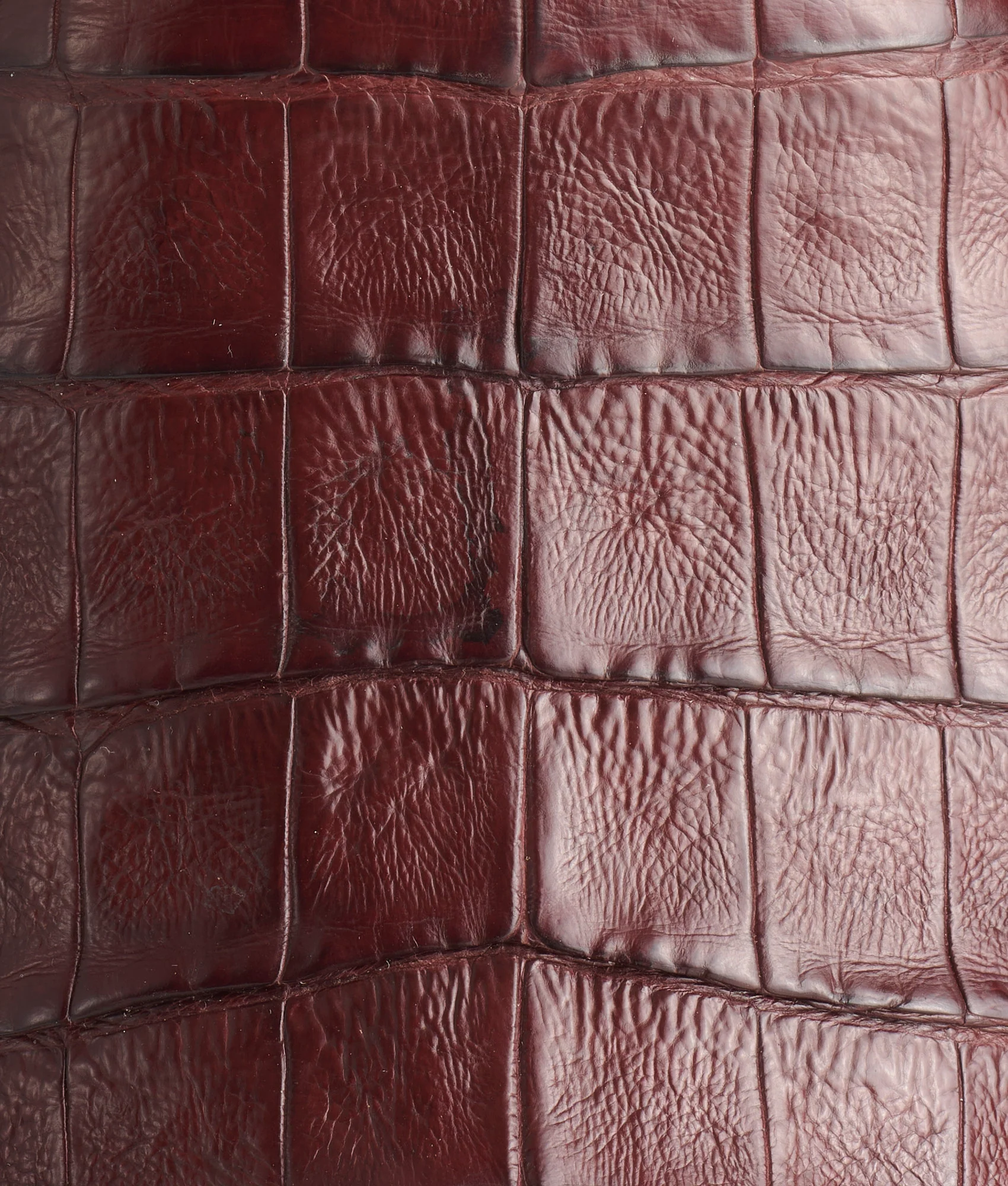 Wilson :: Sienna + Dark Brown