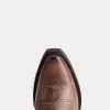 Marcella :: Brown