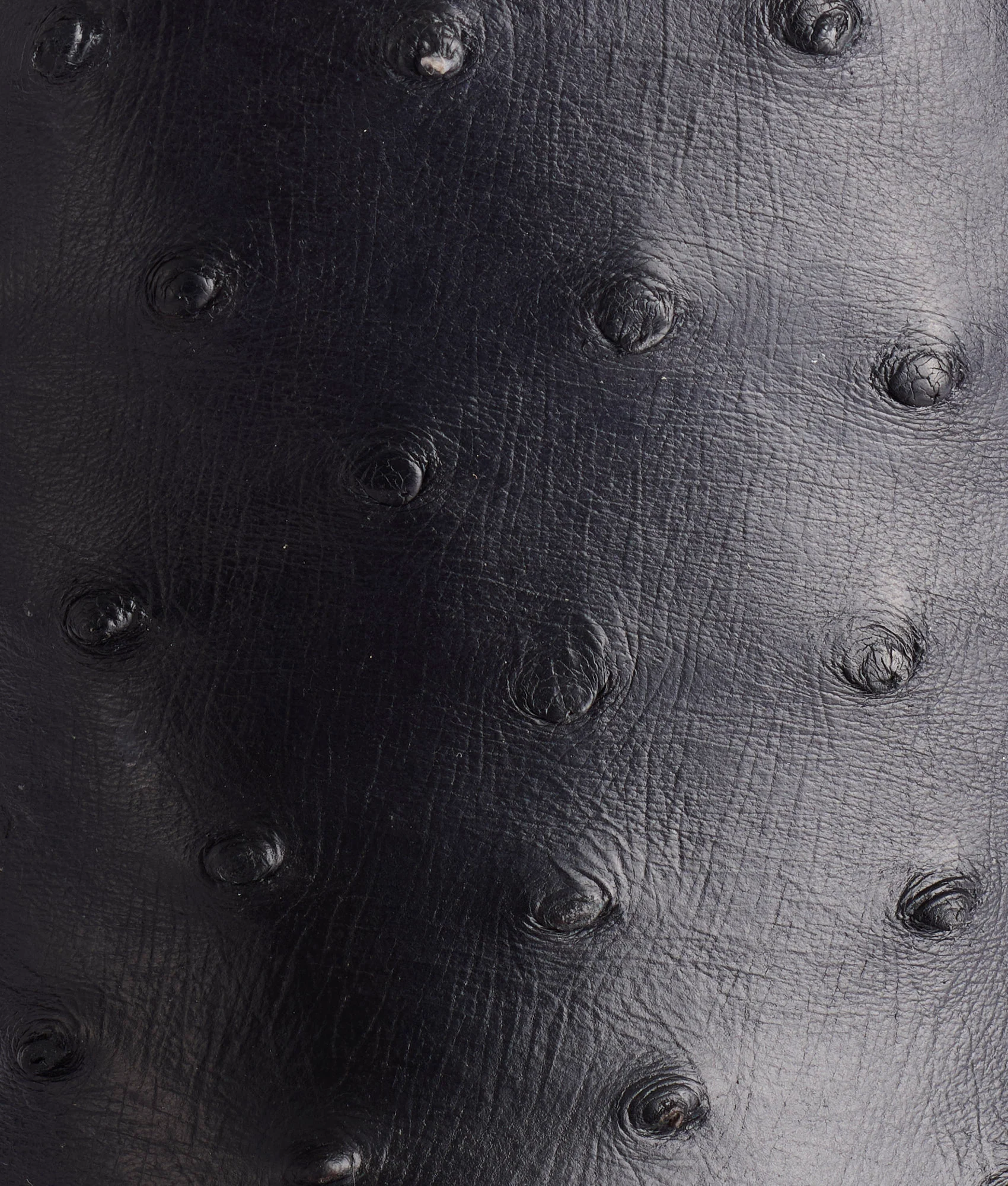 Harmon :: Black
