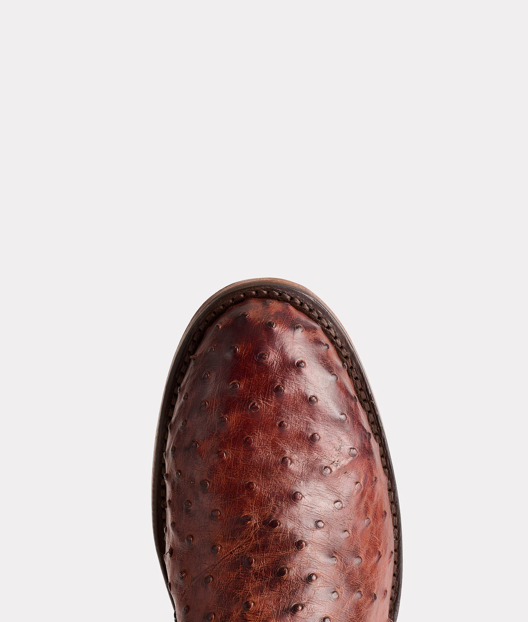 Hudson :: Chocolate