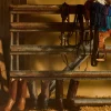 Luke :: Barnwood + Tan