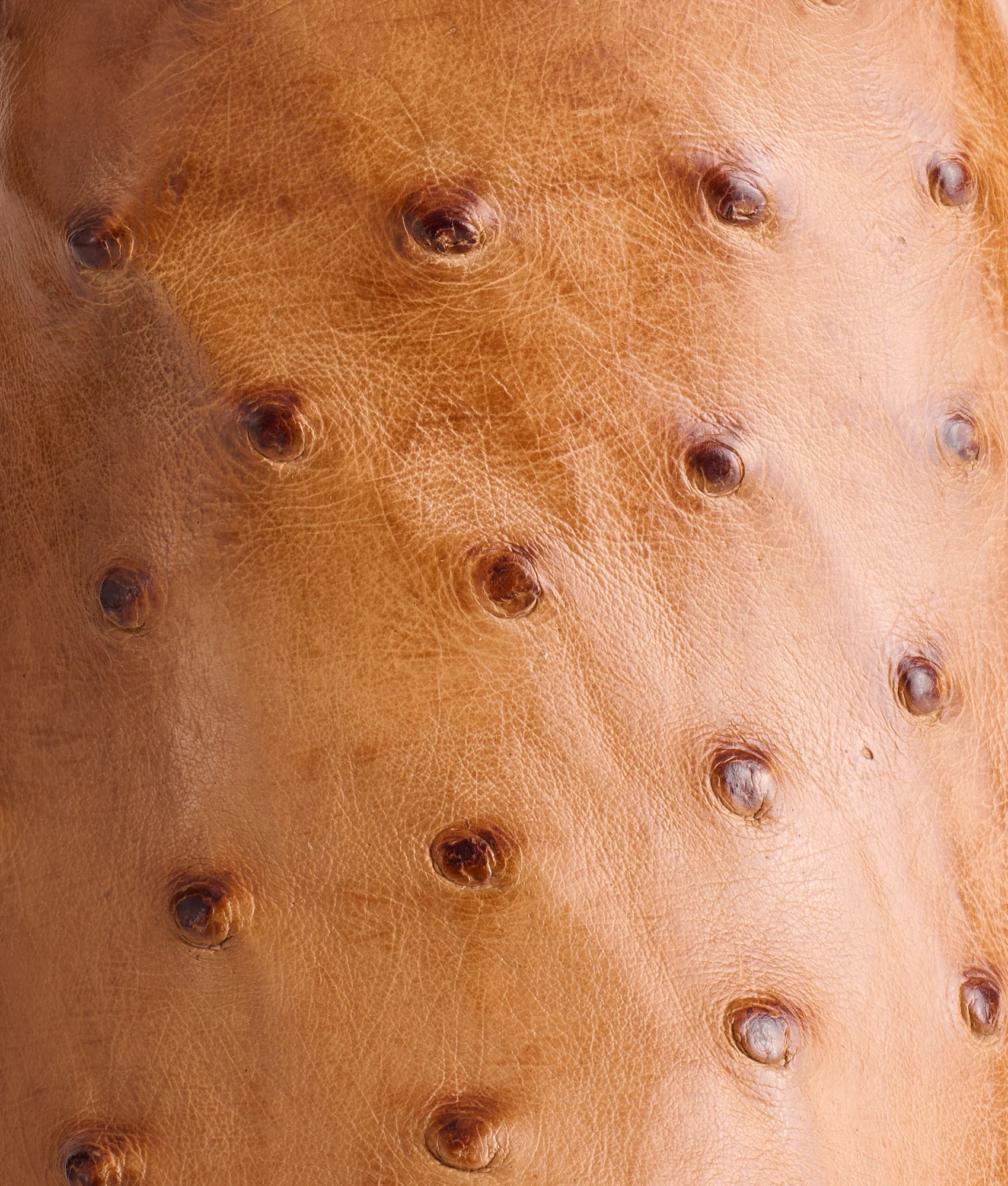 Luke :: Barnwood + Tan
